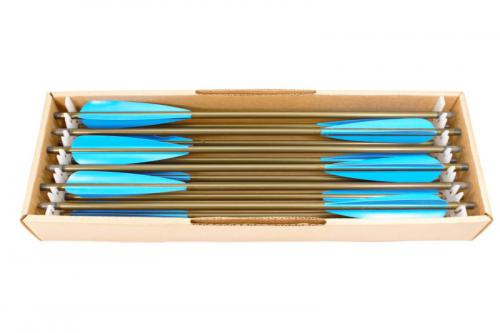Archery Aluminum bolts, Blue Vanes, Metallic
